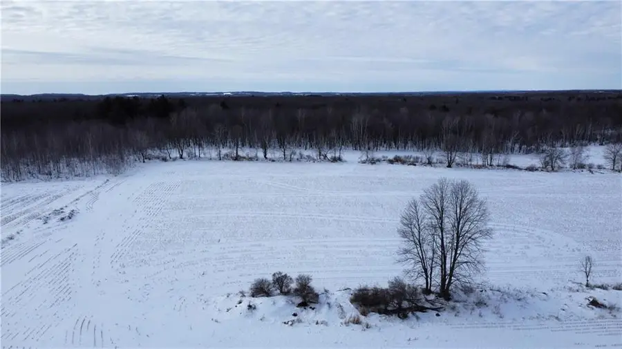 1768 290th Street, Cadott, WI 54727 - #3