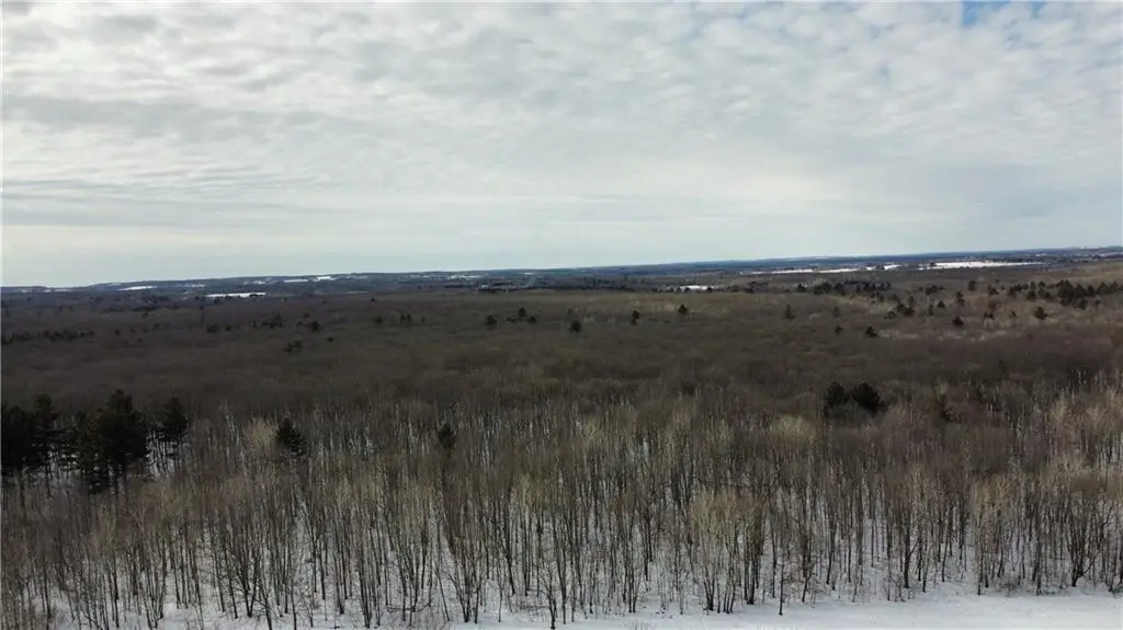 1768 290th Street, Cadott, WI 54727 - #1