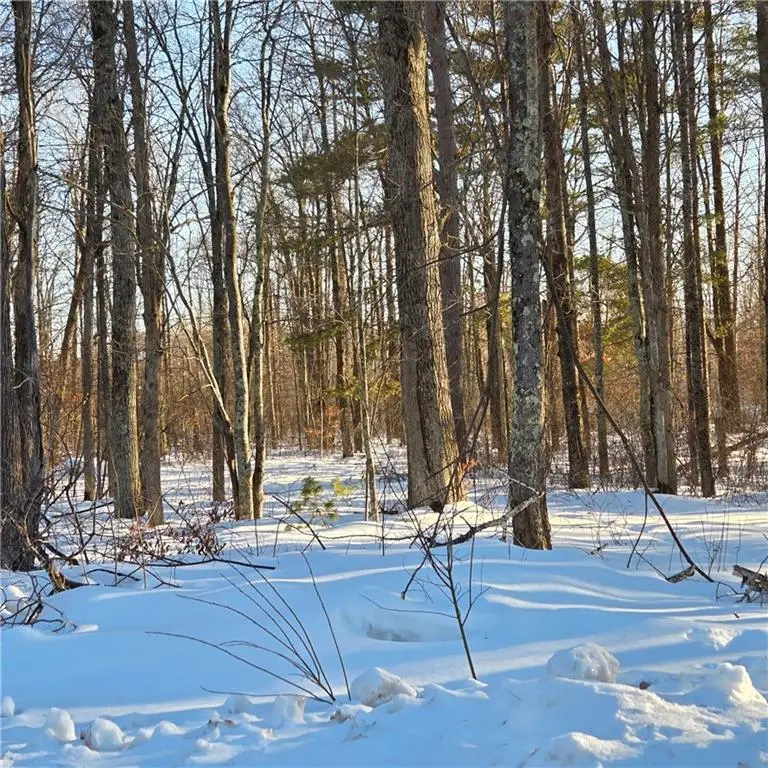 8829 Cty E Road, Hayward, WI 54843 - #1