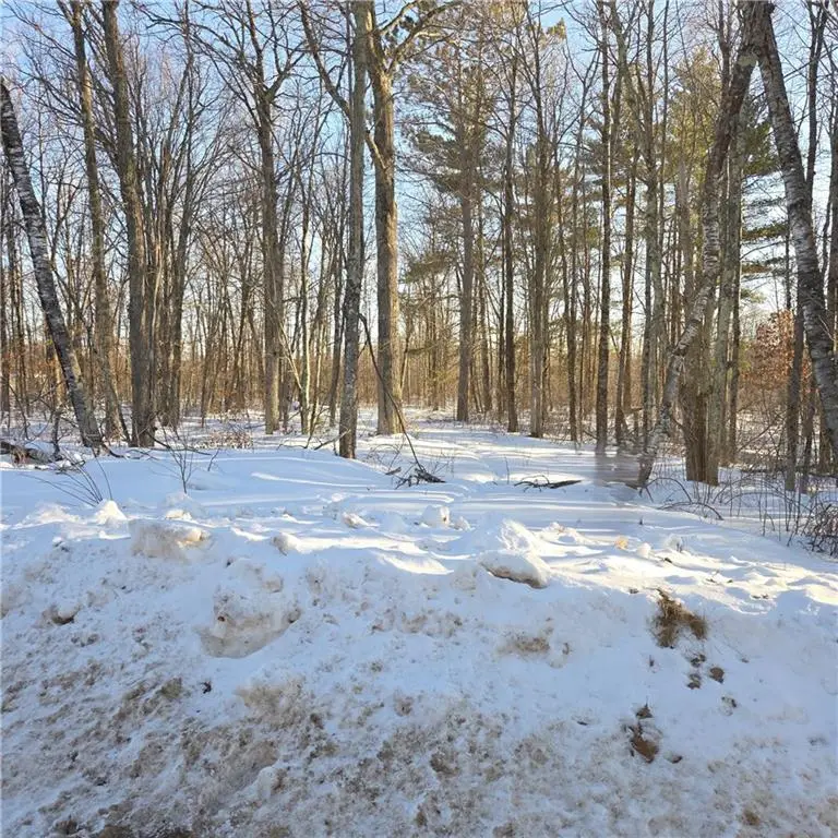 8829 Cty E Road, Hayward, WI 54843 - #2