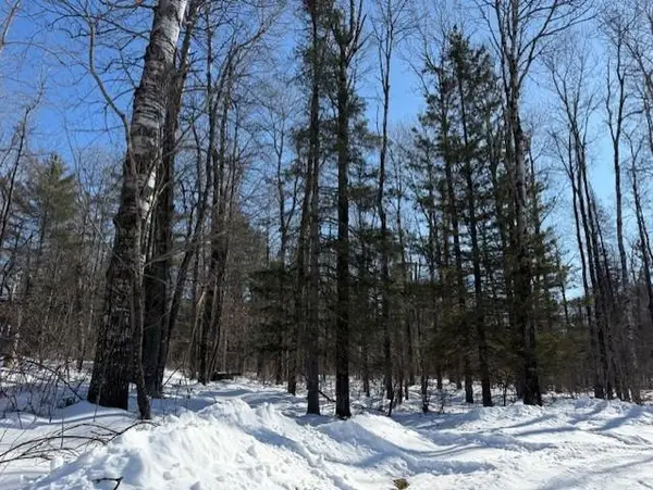 Lot 108 Willow Court, Cable, WI 54821