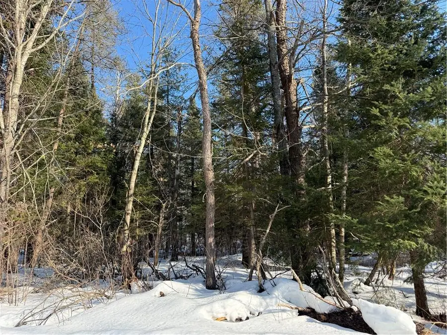 Lot 66 Hickory Court, Cable, WI 54821 - #2