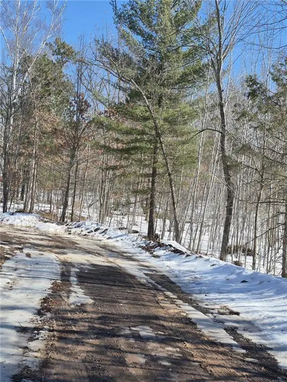Lots 10 & 11 Wintergreen Trail, Danbury, WI 54830 - #3
