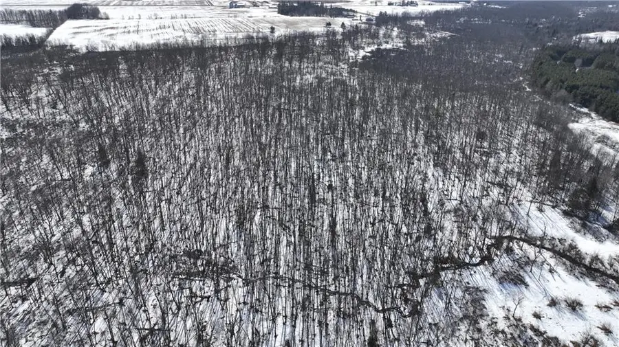 XX County Road O, Bruce, WI 54819 - #2