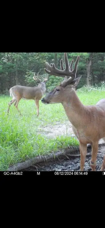 890 S Independence Road, Independence, WI 54747 - #1