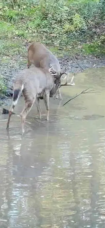 890 S Independence Road, Independence, WI 54747 - #3