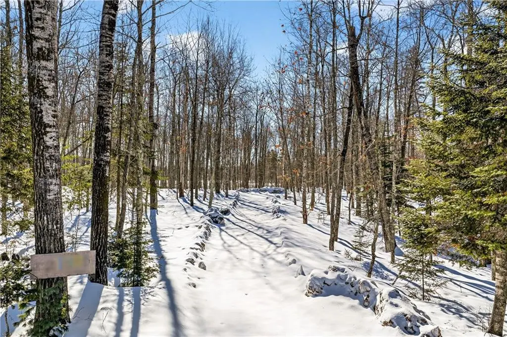 Lot 4 CSM #1469 Juneks Point Road, Cable, WI 54821 - #1