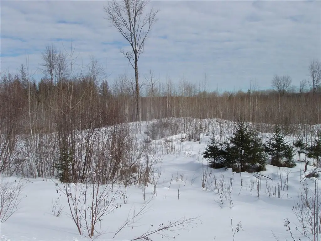 40+/- Acres on County Rd E, Park Falls, WI 54552 - #1