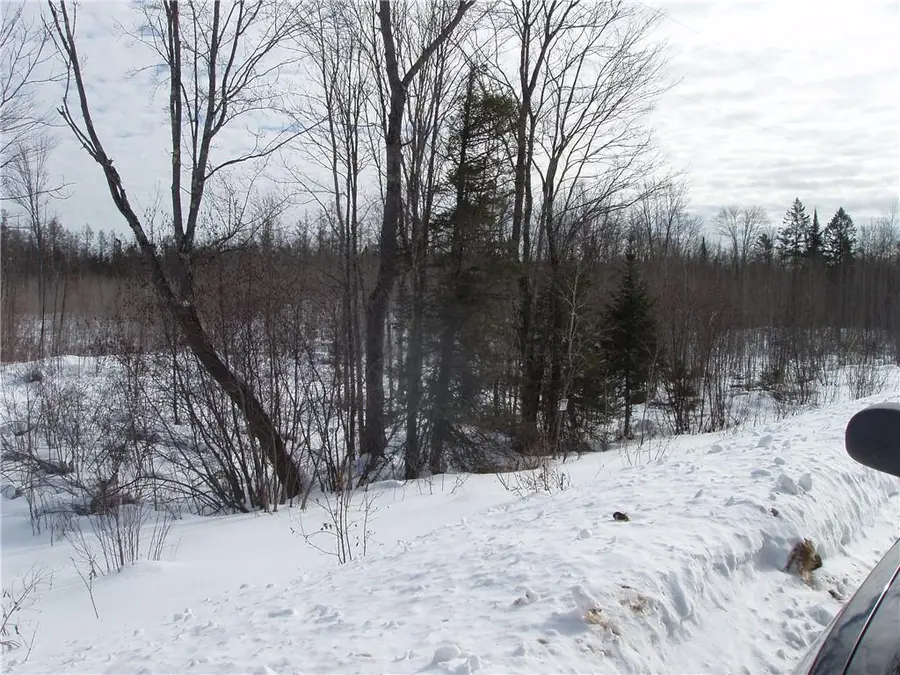 40+/- Acres on County Rd E, Park Falls, WI 54552 - #3
