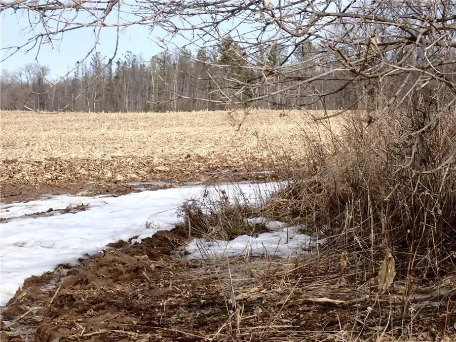 000 Rudy Road, Jim Falls, WI 54748 - #2