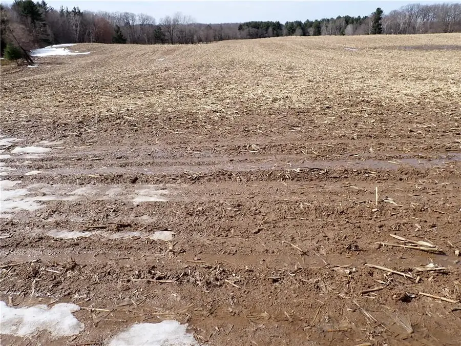 000 Rudy Road, Jim Falls, WI 54748 - #3