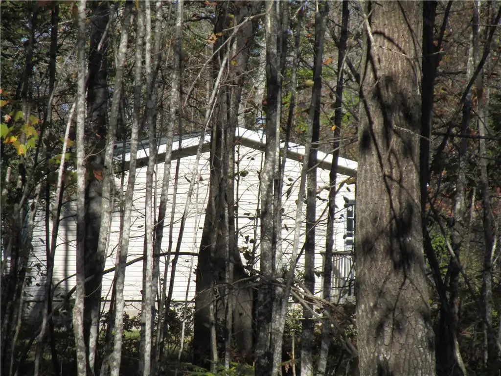 W9618 Mile Road, Ladysmith, WI 54848 - #1