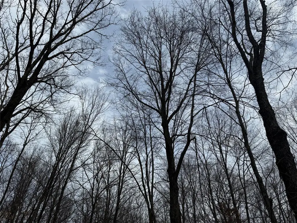 OOO MAPLE, Granton, WI 54436 - #1