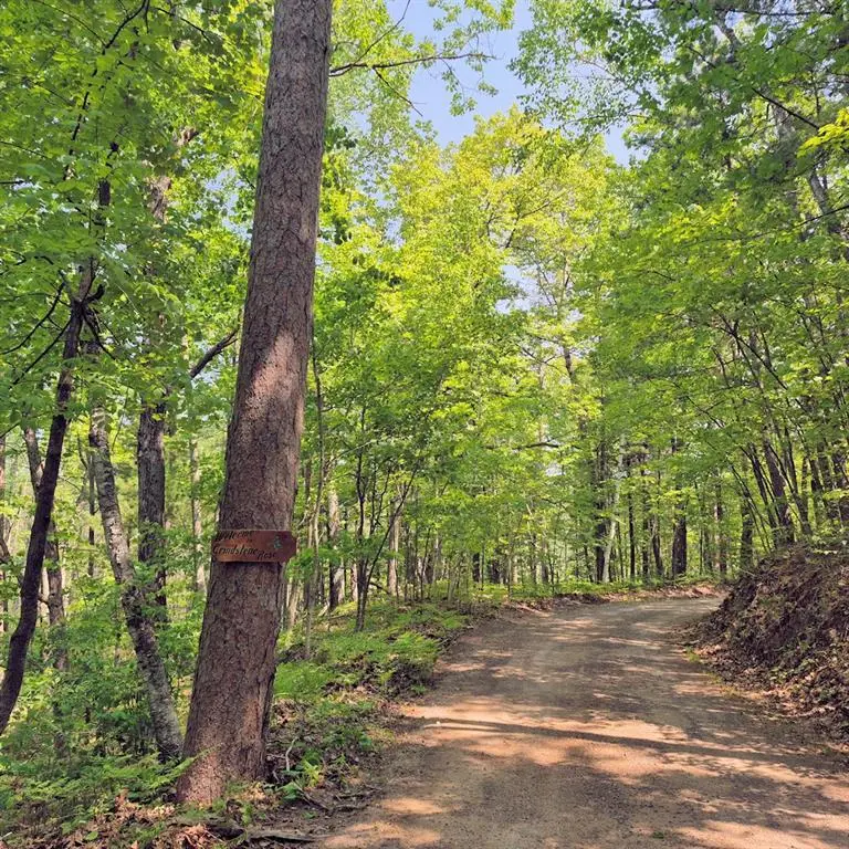 14954 W Goss Road, Hayward, WI 54843 - #1