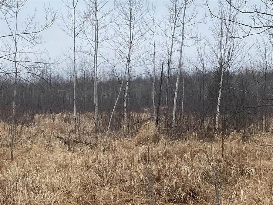 ON Shauger Road, Ogema, WI 54459 - #3