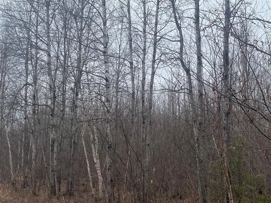 ON Shauger Road, Ogema, WI 54459 - #3