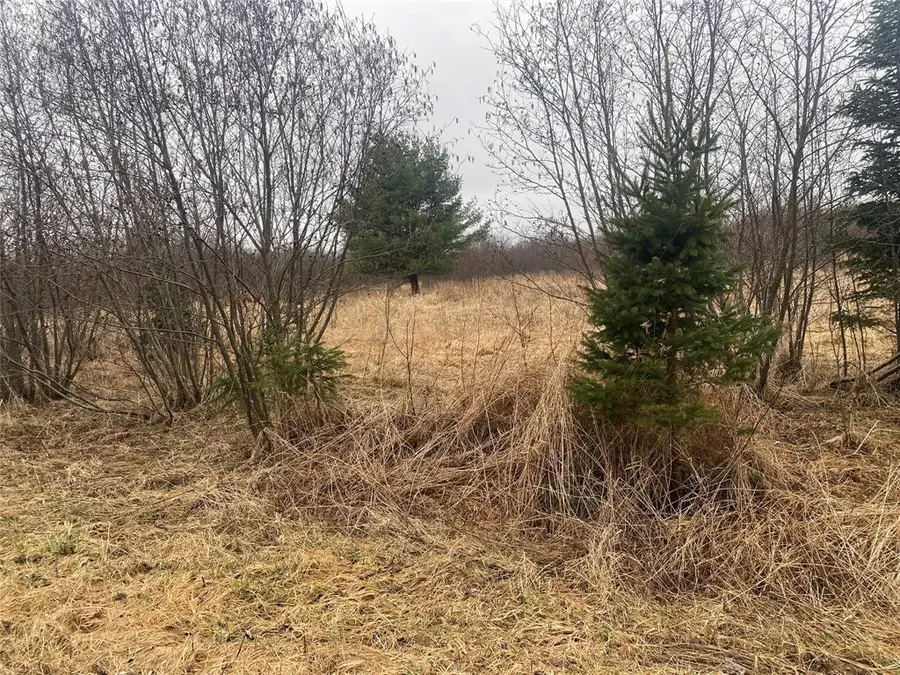 ON Shauger Road, Ogema, WI 54459 - #3