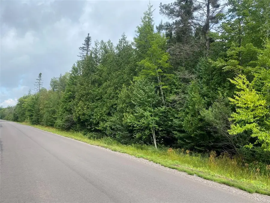 ON Maple Ridge Road, Park Falls, WI 54552 - #3