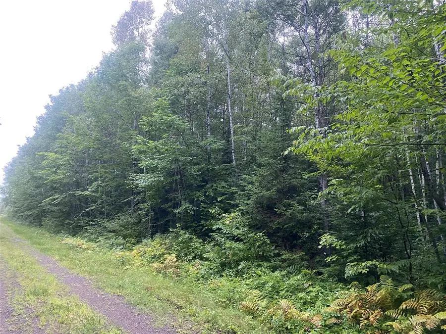 On Doland Road, Loretta, WI 54896 - #3