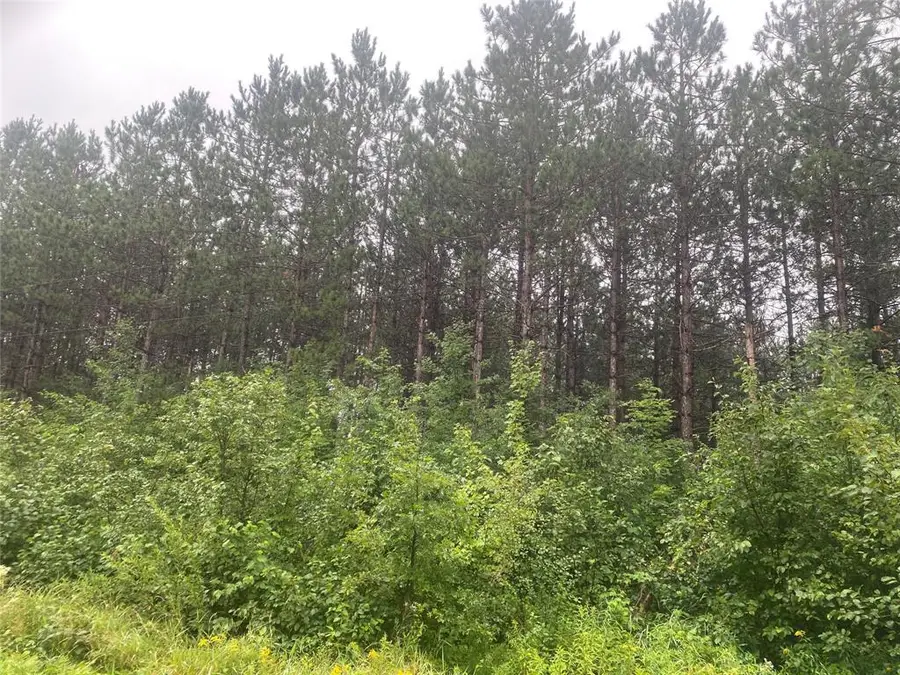 On Old 14 Road, Bruce, WI 54819 - #3