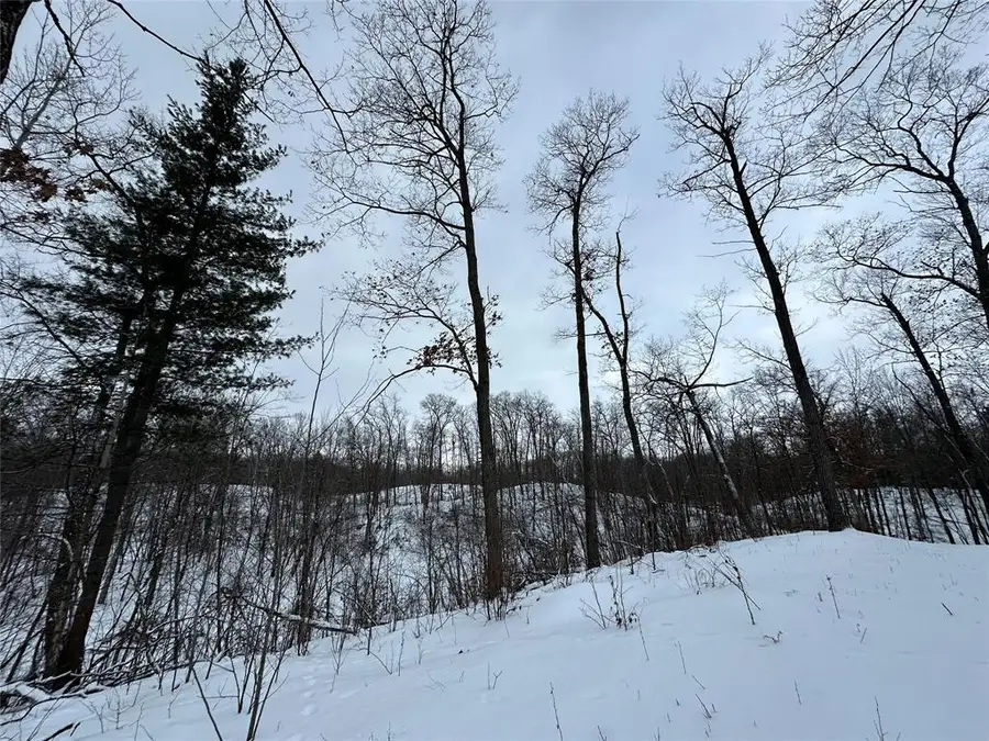 TBD 13.88 Acres Antler Lake Drive, Milltown, WI 54858 - #3