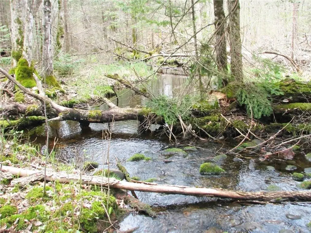 2861 29 7/16 Avenue, Birchwood, WI 54817 - #1