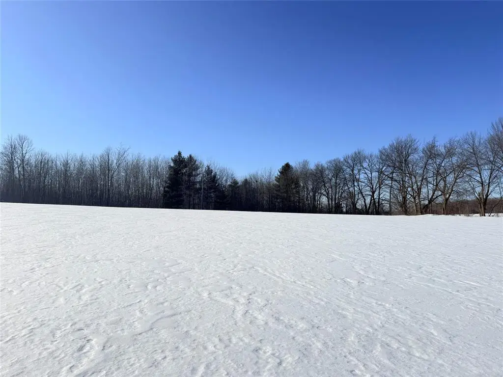 Lot 1 14 1/2 Street, Rice Lake, WI 54868 - #1