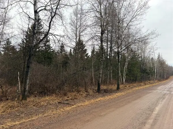 ON Sheep Camp Road, Ladysmith, WI 54848
