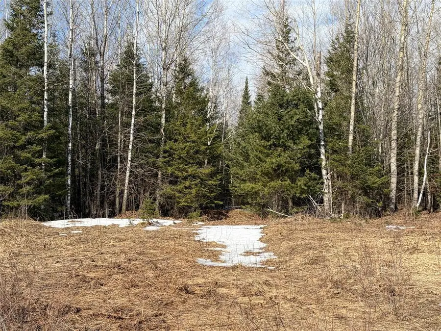 On CTH F, Park Falls, WI 54552 - #3