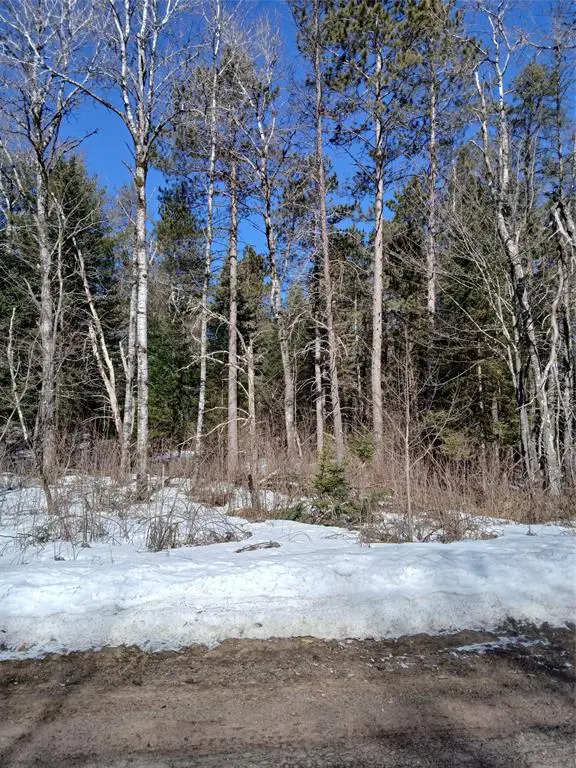 Lot 2 Lake Lodge Drive, Cable, WI 54821 - #1