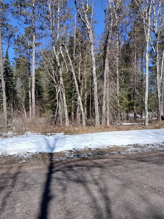 Lot 2 Lake Lodge Drive, Cable, WI 54821 - #2
