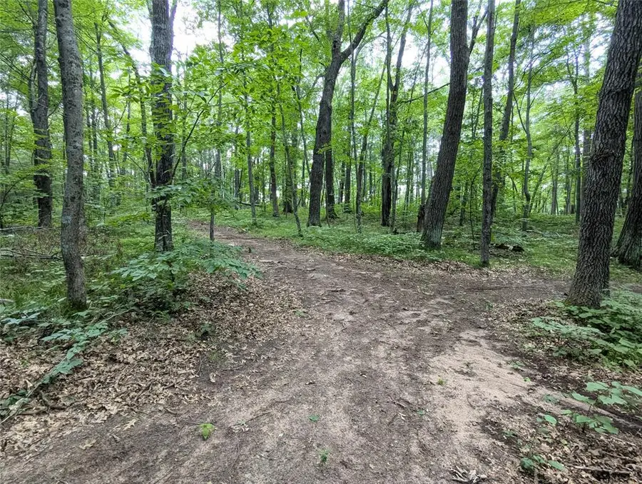 Lot 2 Fosmo, Webster, WI 54893 - #2