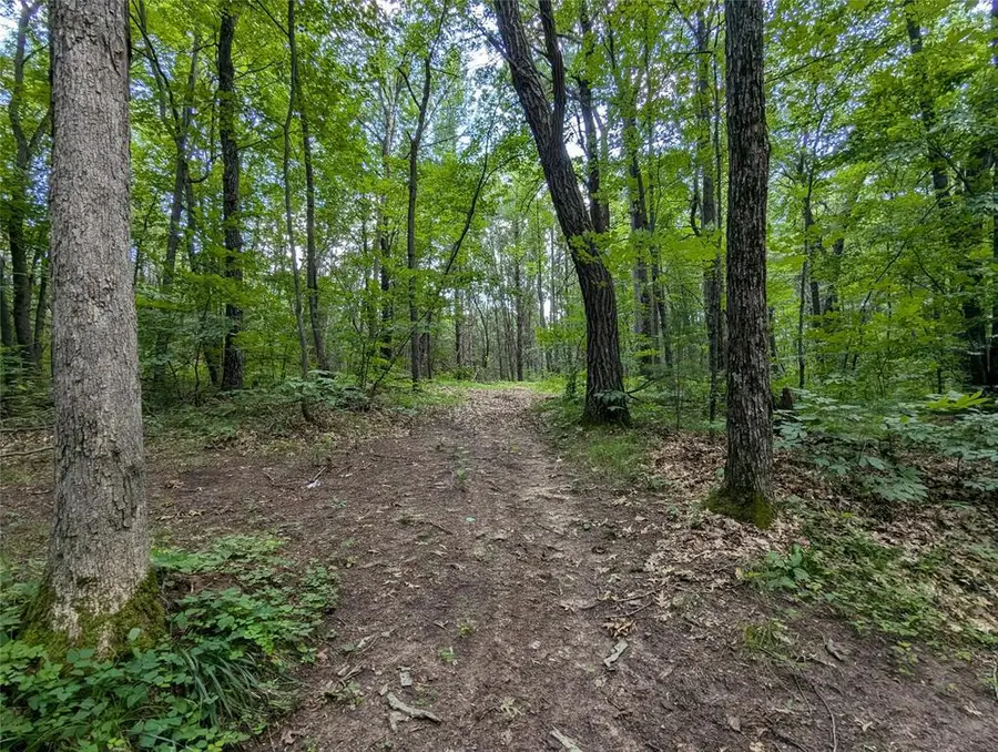 Lot 4 Fosmo, Webster, WI 54893 - #2