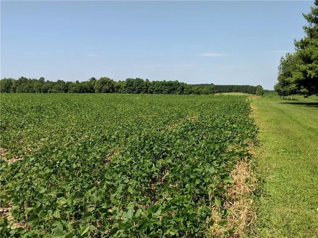 40 acres County Rd B West, Lawrence, WI 52526 - #1
