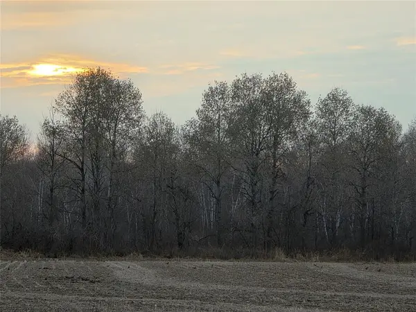 1563 Helena Drive, Holcombe, WI 54731