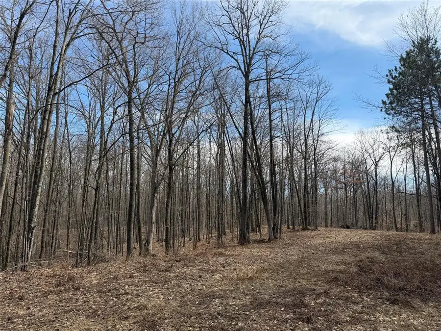 0 290th Avenue, New Auburn, WI 54757 - #3