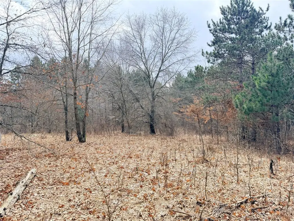 Lot 2 Big Lake Drive, Osceola, WI 54020 - #1