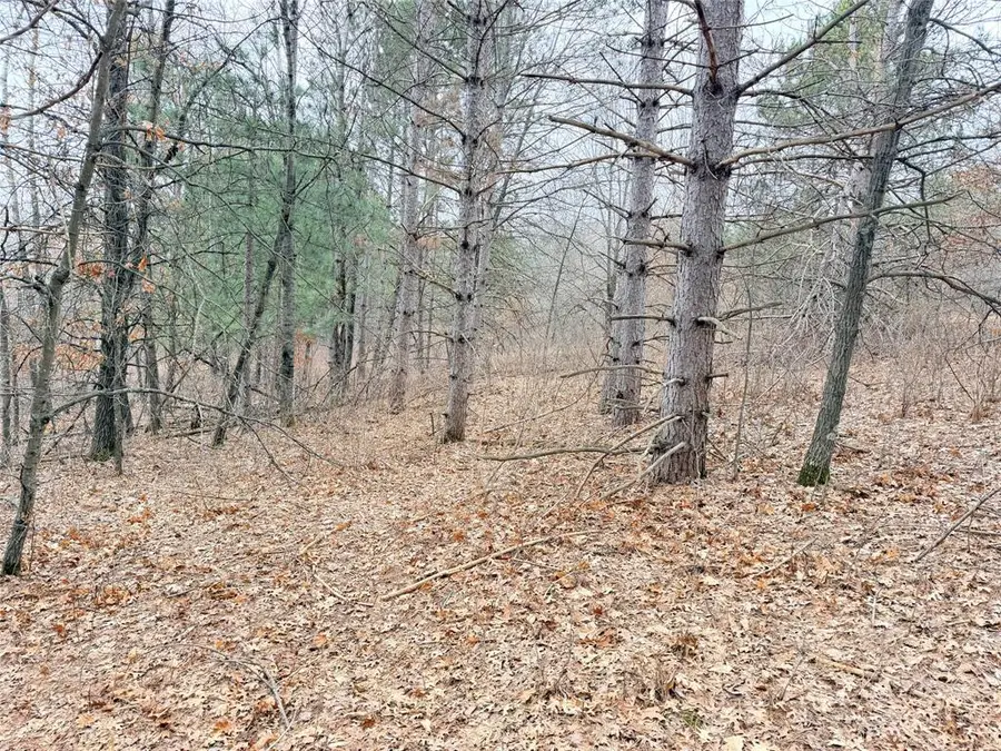 Lot 2 Big Lake Drive, Osceola, WI 54020 - #2