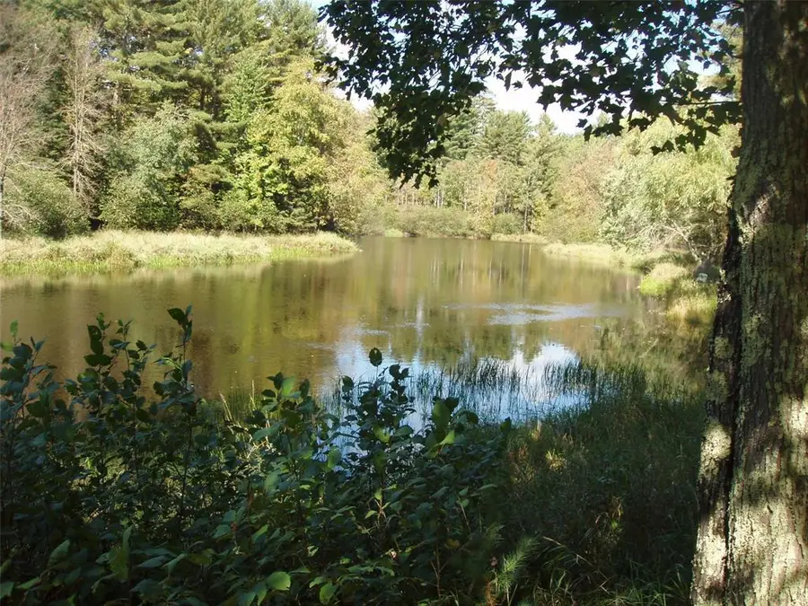 N15671 Evergreen Road, Park Falls, WI 54552 - #2