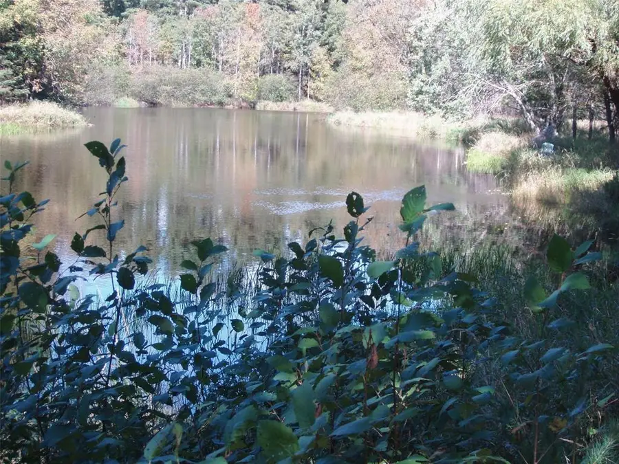 N15671 Evergreen Road, Park Falls, WI 54552 - #3