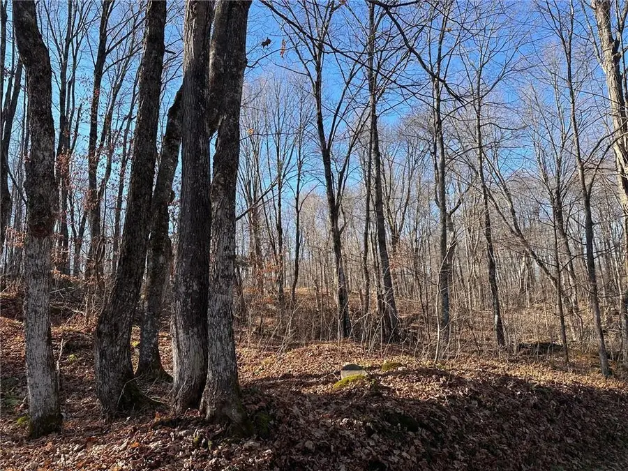 Lots 54 & 55 Wolf Island Road, Hayward, WI 54843 - #2