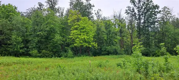 Lot 4 Musky Point Drive, Stone Lake, WI 54876