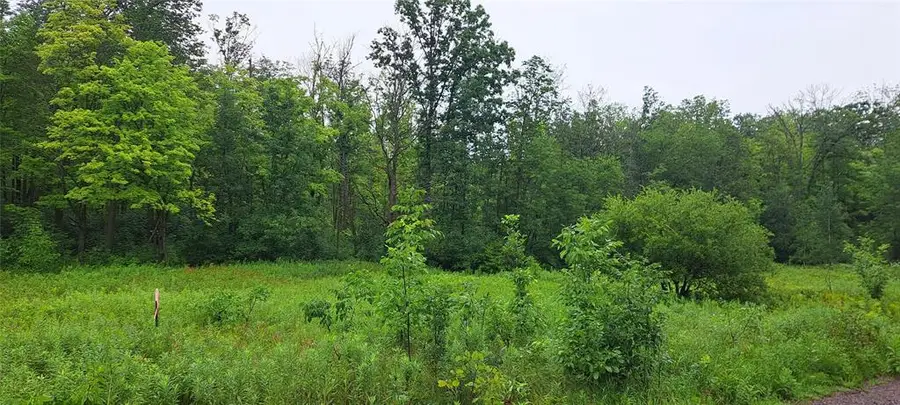 Lot 4 Musky Point Drive, Stone Lake, WI 54876 - #2