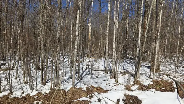 Lot 90 Silver Birch Drive, Cable, WI 54821
