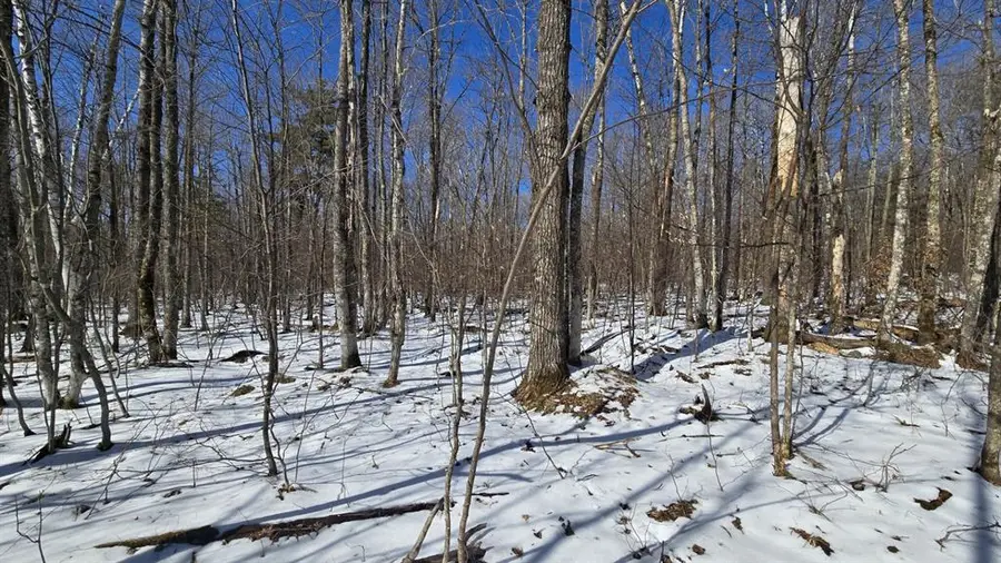 Lot 90 Silver Birch Drive, Cable, WI 54821 - #3