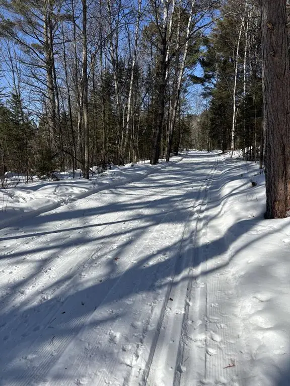 11349N Vasa Road, Hayward, WI 54843 - #1