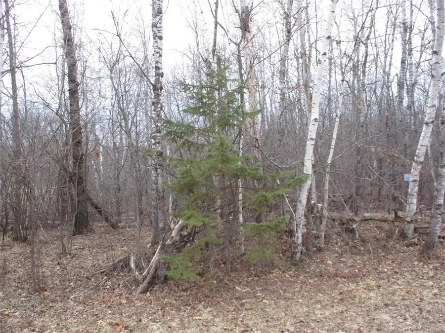 Lot #24 28 11/16 Street, Birchwood, WI 54817 - #3