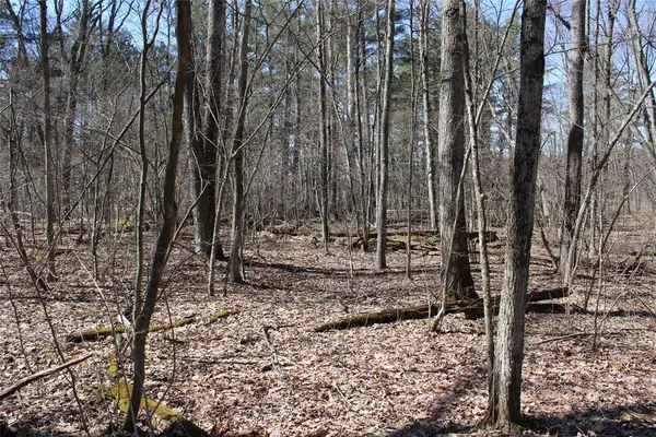 00 Resewood Ave. - Lot 4, Neillsville, WI 54456