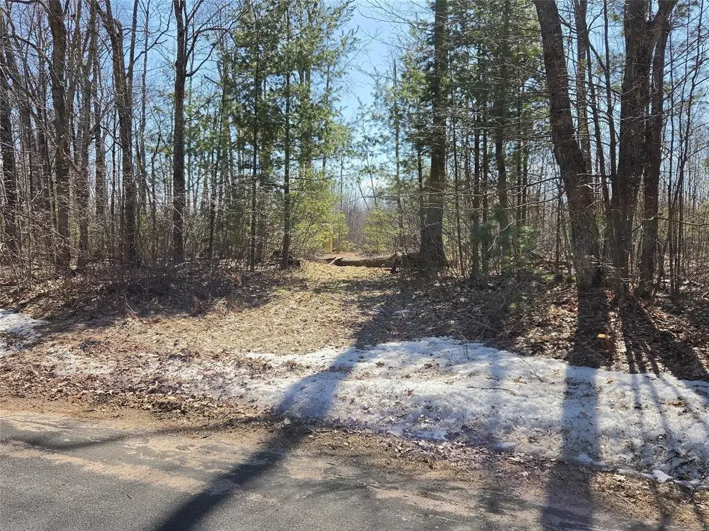 Lot 1 W South Shore Rd, Hayward, WI 54843 - #1