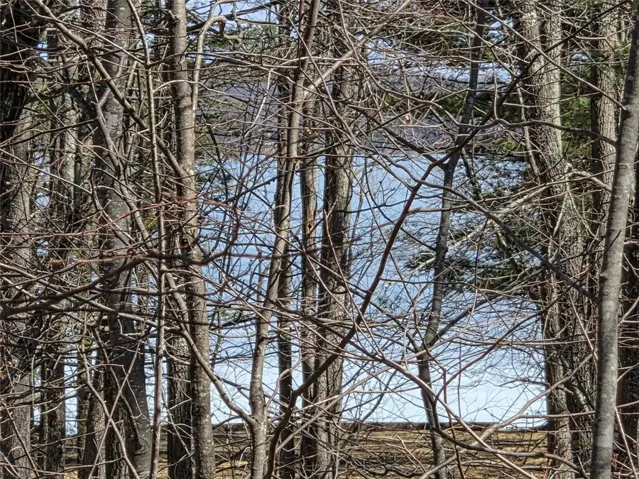 Lot 1 W South Shore Rd, Hayward, WI 54843 - #2